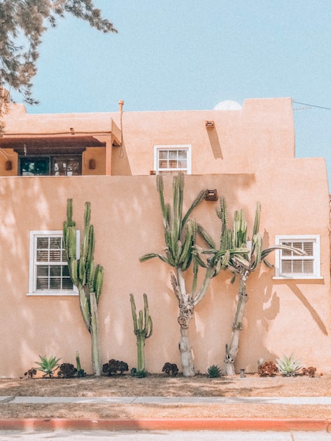 Comfortable Lodging at Yaqui Hideout